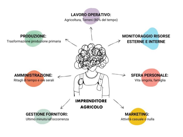 Percorso di Business e Digital Mentoring per agriturismi prima